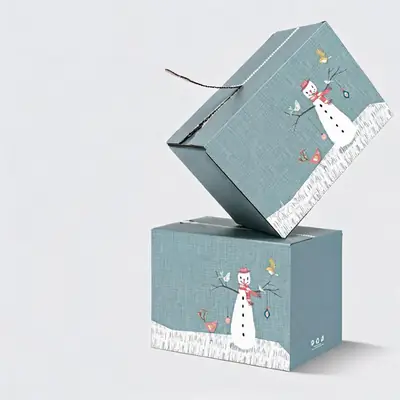 Custom Printed Corrugated Retail Box — Window, Partition & Display Formats