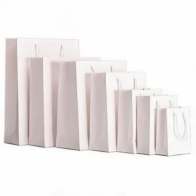 Thickened White Card Paper Gift Bag — Kraft & Laminated Shopping Tote
